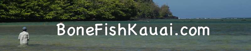 Kauai Fly Fishing Bonefishing - Hawaii Fly Fishing for the Elusive Hawaiian Bonefish